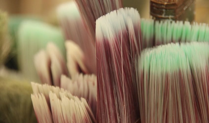 paint brush bristles