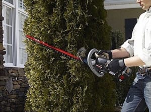 Craftsman cordless hedge trimmer