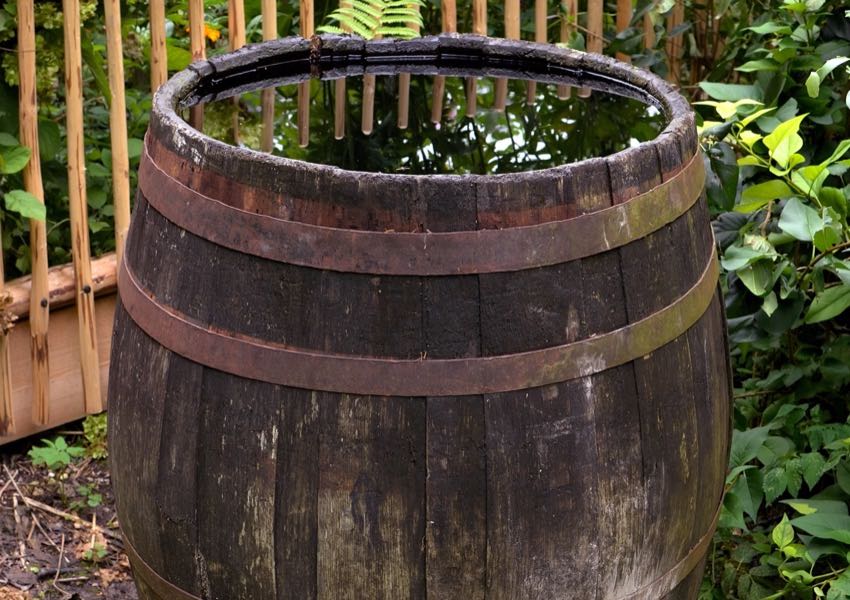 Rainwater Capture and Collection for Irrigation