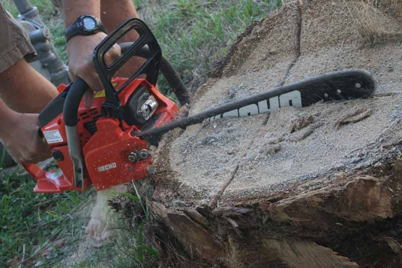 ECHO CS-400 Chainsaw stump