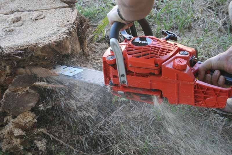 ECHO CS-400 Chainsaw stump2