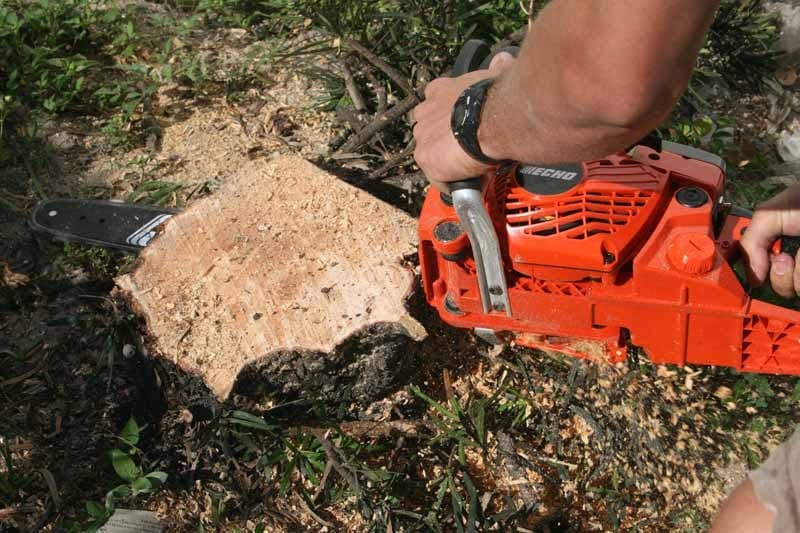 ECHO CS-400 Chainsaw stump3