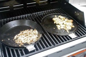 STOK Quattro has browns eggs