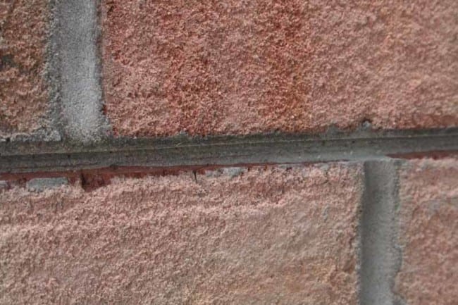 Bosch Sandwich Tuckpointing