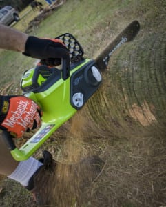 GreenWorks G-MAX cutting palm