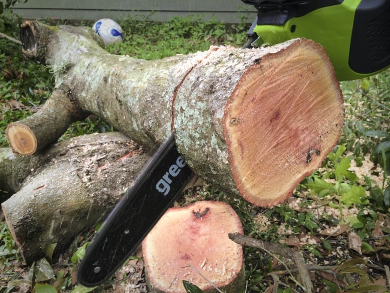 GreenWorks G-MAX cutting water oak