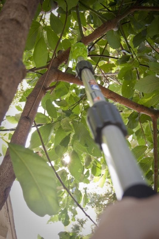 greenworks 40V pole saw extended