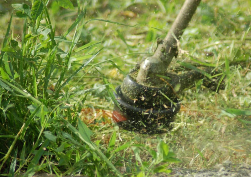 Echo SRM-280T String Trimmer