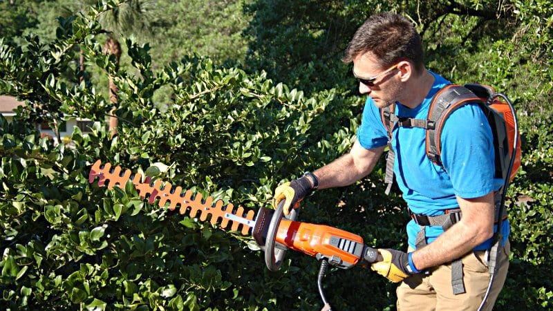 Husqvarna 36V Hedge Trimmer Featured