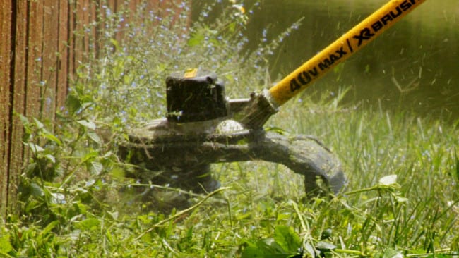 DeWalt 40V Max String Trimmer Action