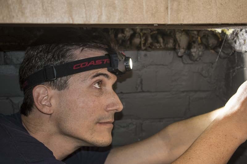 Coast FL60 LED headlamp use