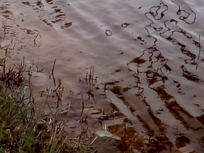 Water - Polarized Smoke Lens