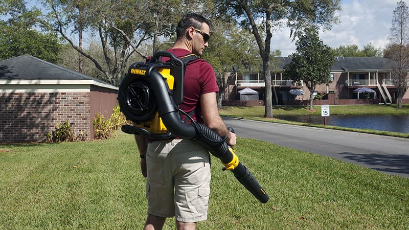 DeWalt 40V Max Backpack Blower Rear View