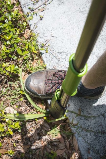 Ames stand-up weeder use