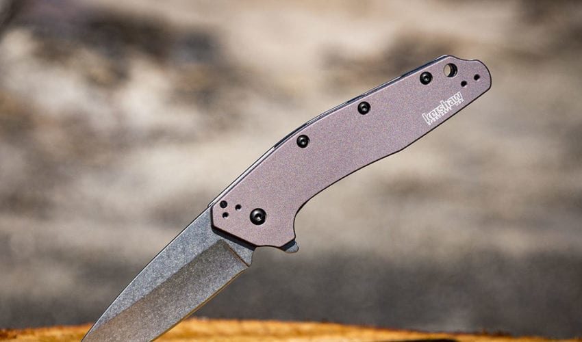 Kershaw Dividend Gray Spring Assisted Folding Knife