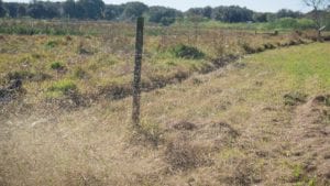 eXmark Radius Xseries Lakeside