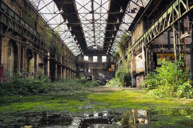 tips for selling your home Bring the Outside Inside