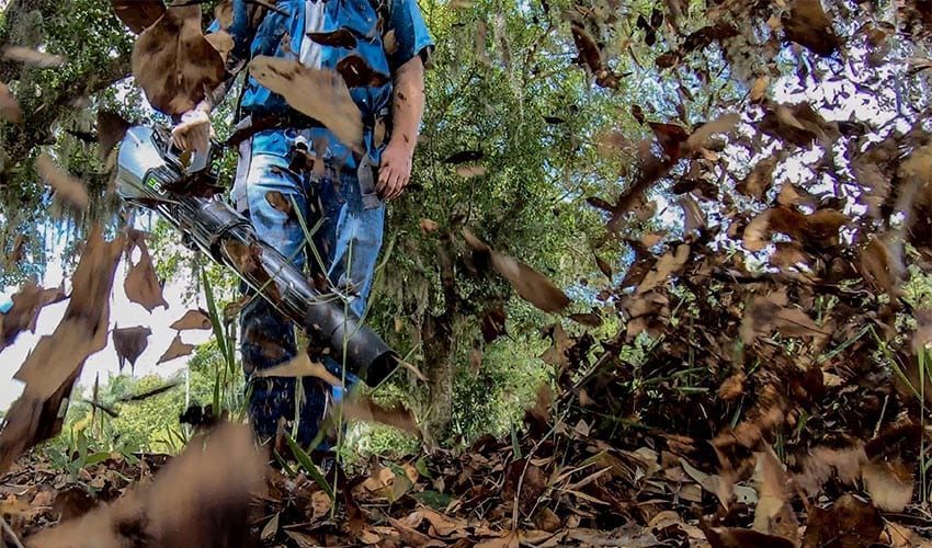 EGO Commercial Blower LBX6000 Oak Leaves