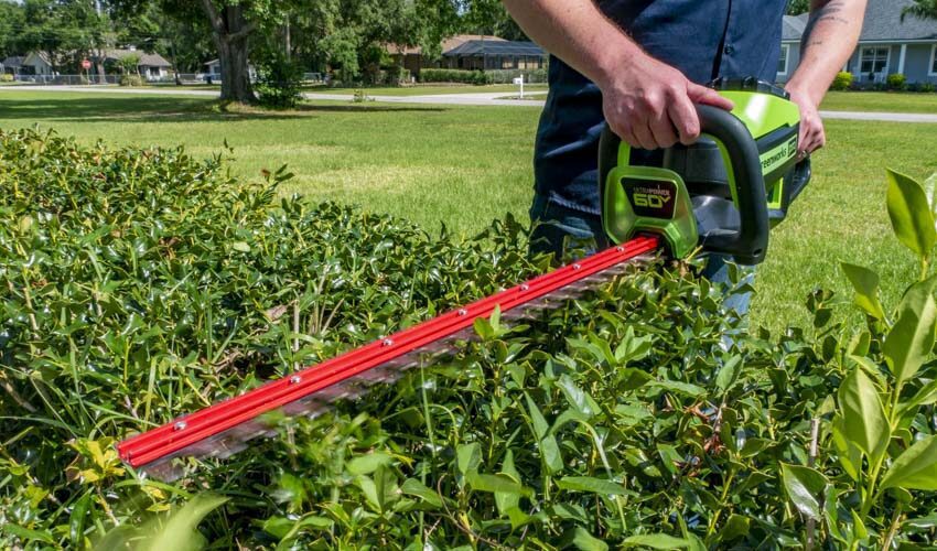 Greenworks 60V Battery-Powered Hedge Trimmer Review