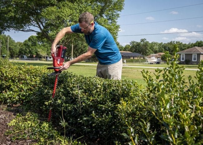 Skil 40V Hedge Trimmer