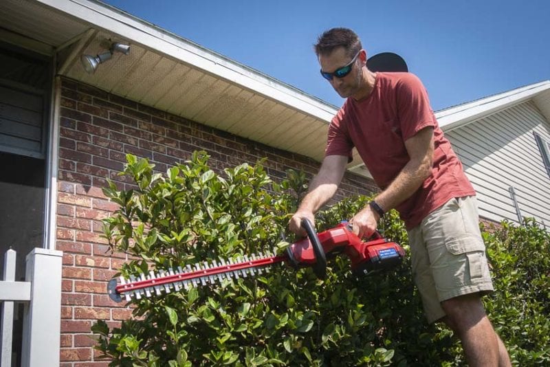 Toro 60V trimming hedge