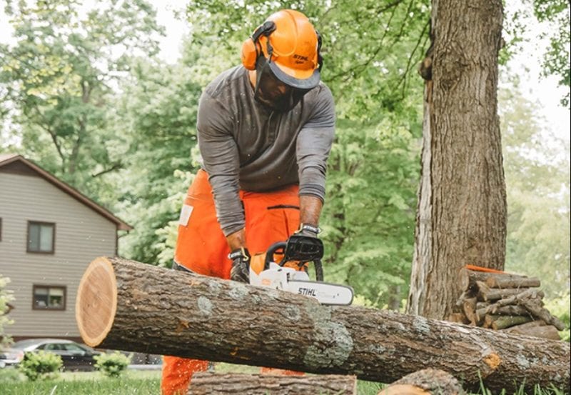 Stihl MSA 220 C-B 36V Battery Chainsaw