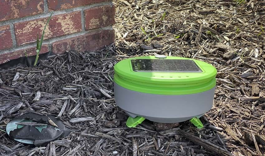 Tertill solar-powered weeder