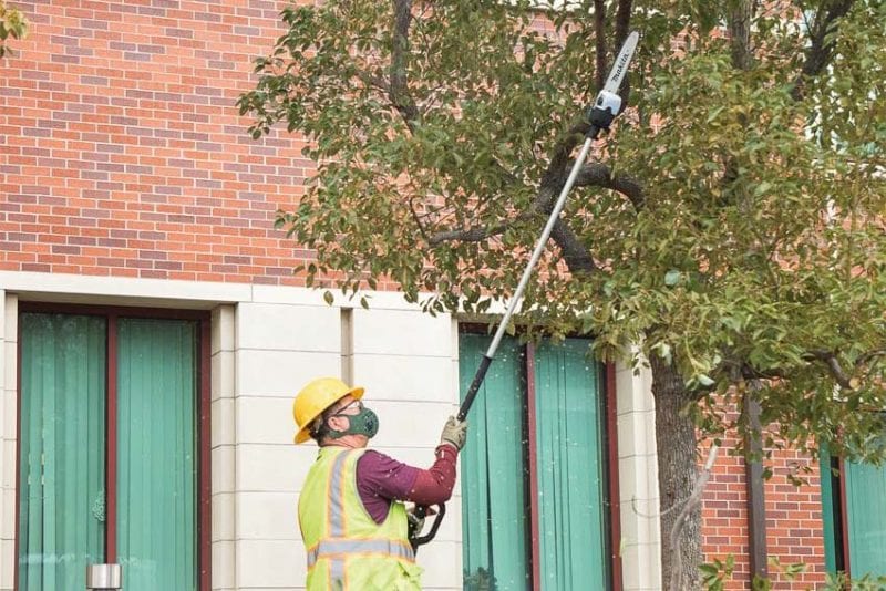 Makita 36V X2 battery-powered pole saw