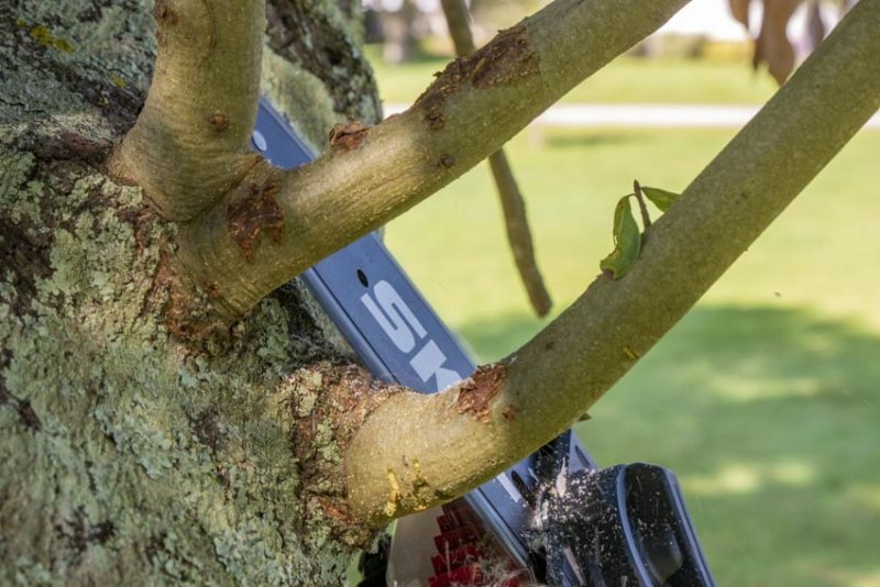 Skil 20V Cordless Pole Saw | PWRCore 20