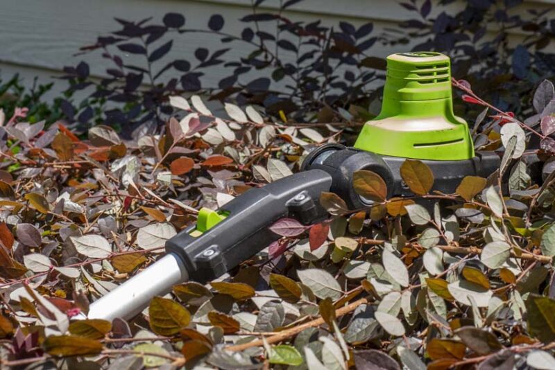 Greenworks 60V Articulating Pole Hedge Trimmer