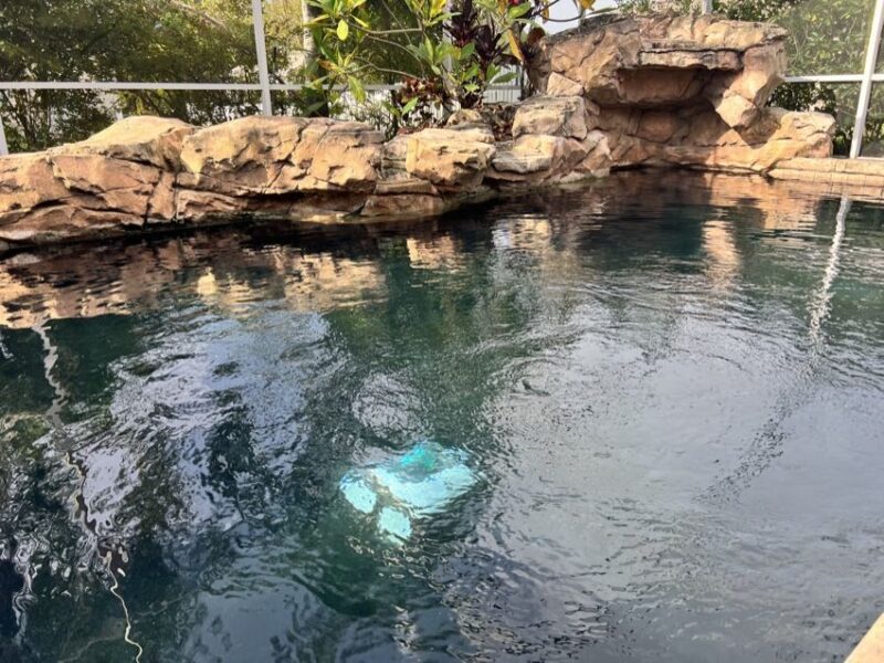 Seagull 1500 pool vac