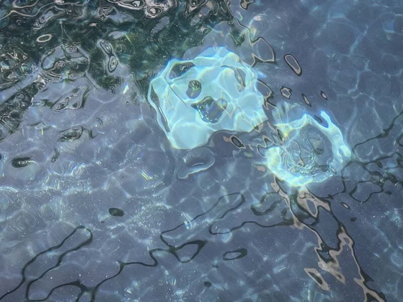 Aiper Seagull Pro underwater