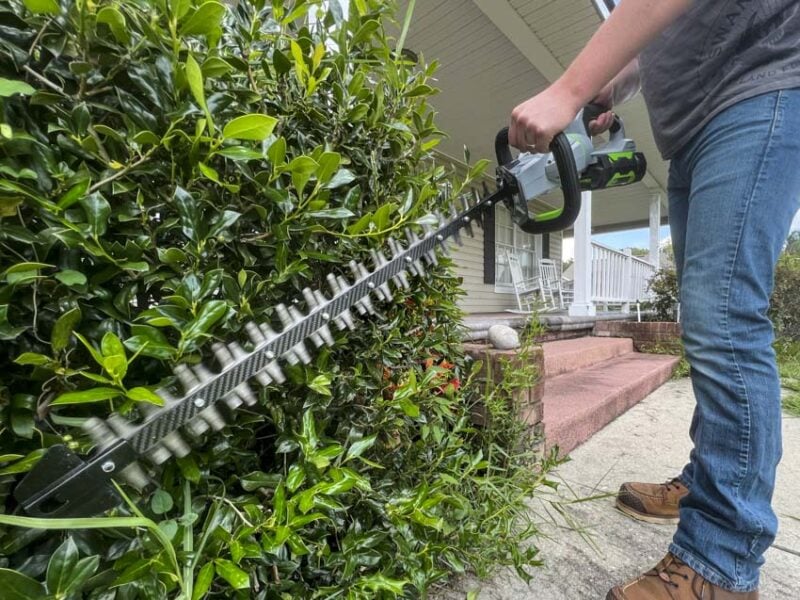 EGO Carbon Fiber Hedge Trimmer