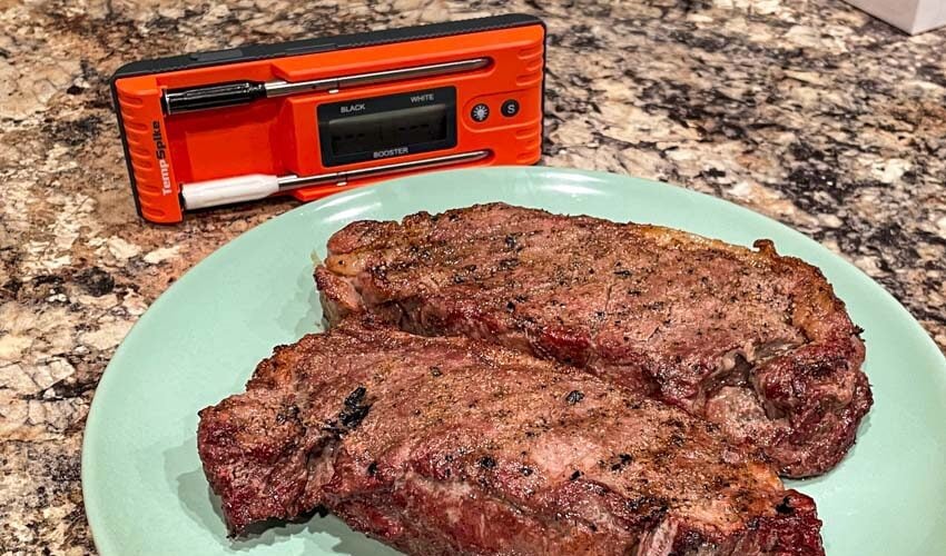 ThermPro TempSpike II Wireless Thermometer Review