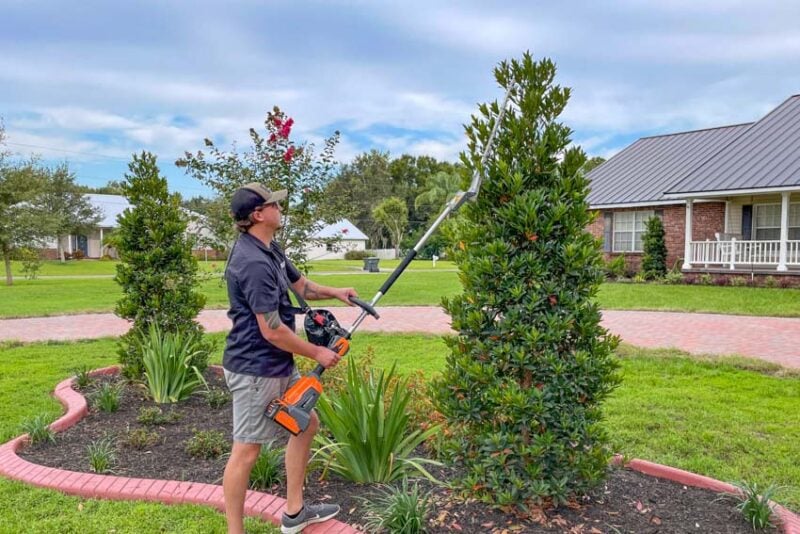 Sunseeker 60V Tools โย Brushless Articulating Pole Hedge Trimmer