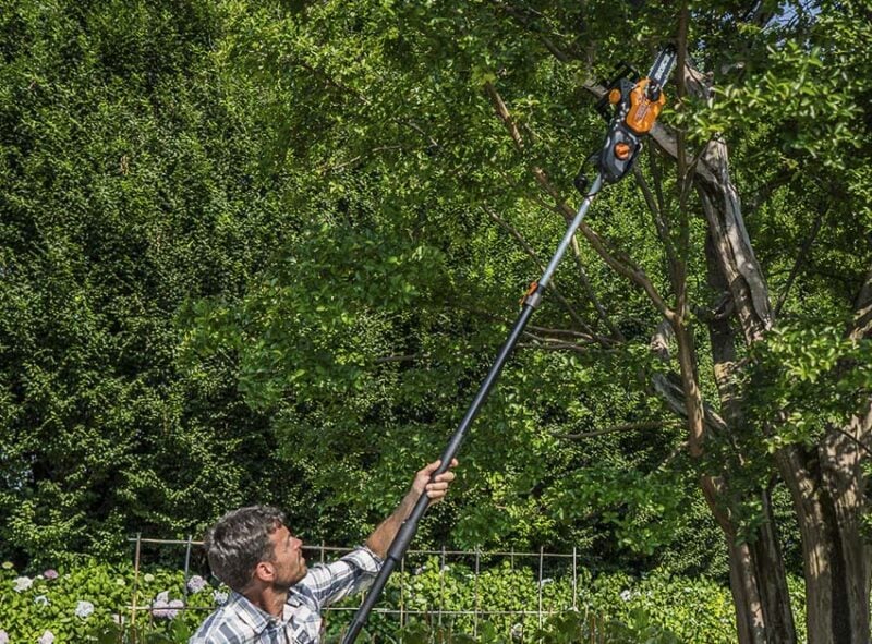 Worx WG309 8A 10in Electric