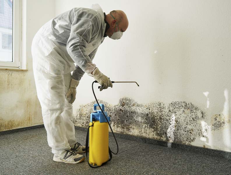 mold remediation