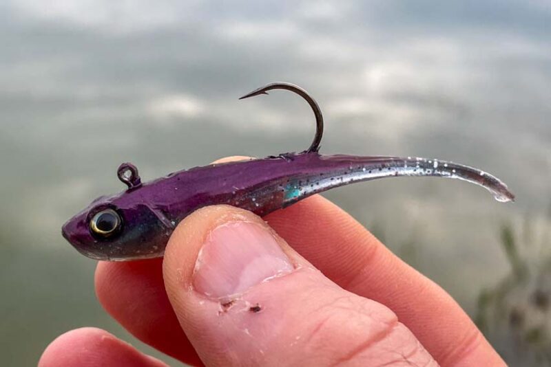 Berkley FFS Baits โย PowerBait Power Switch