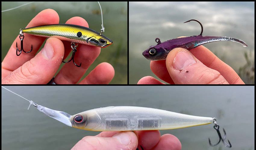 Berkely Forward Facing Sonar Optimized Baits