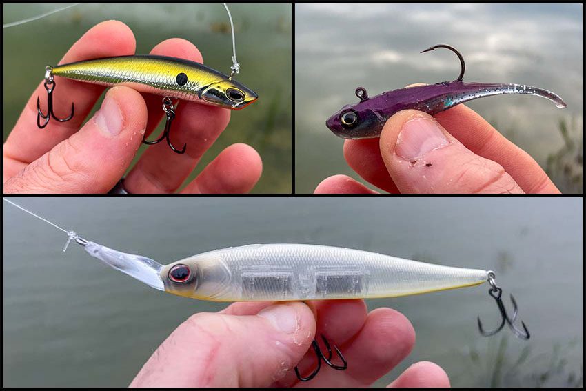 Berkely Forward Facing Sonar Optimized Baits