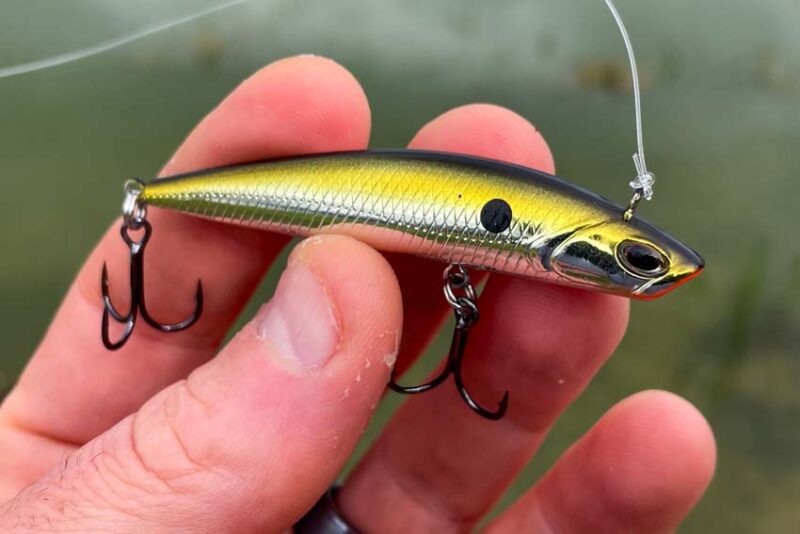 Berkley FFS Baits Finisher