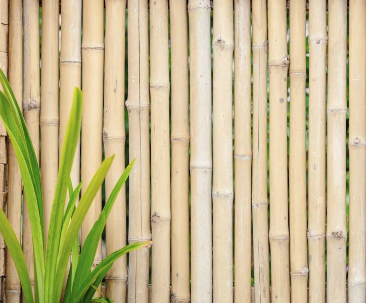 types of exotic wood
bamboo