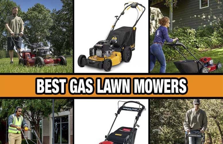 best gas lawn mower