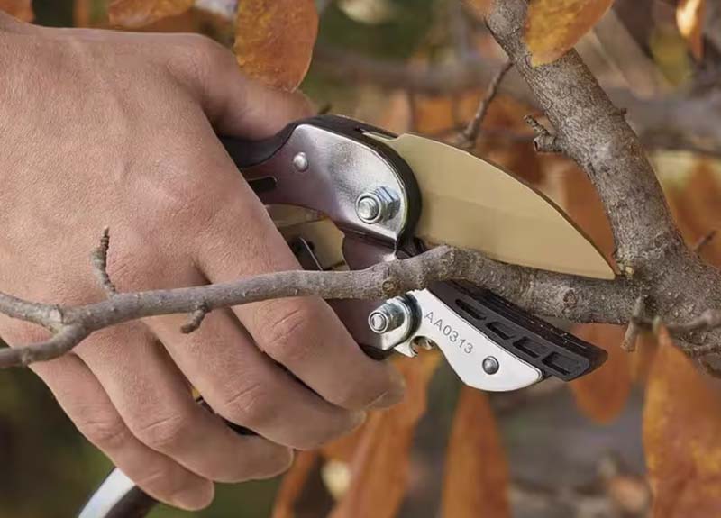 Fiskars 6689 Ratchet Hand Pruner