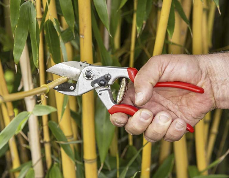 Best Anvil Pruner
Felco Pruning Shears One-Hand Anvil F 31