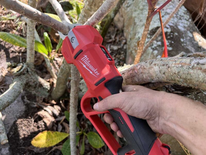 Milwaukee cordless pruner