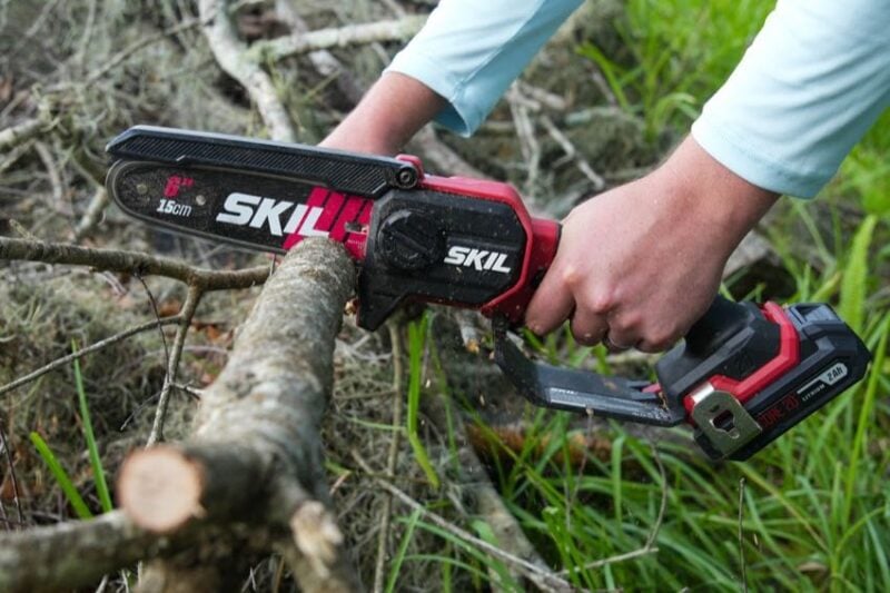 Skil Pruning Saw