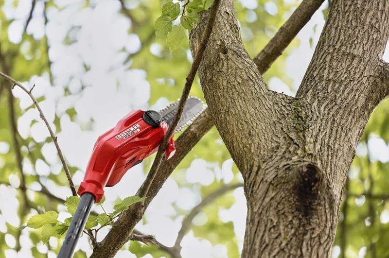 Craftsman V20 Pole Saw