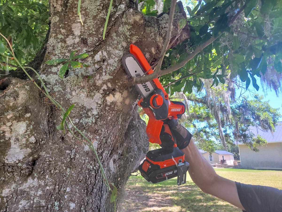 Echo 56V Pruning Saw
