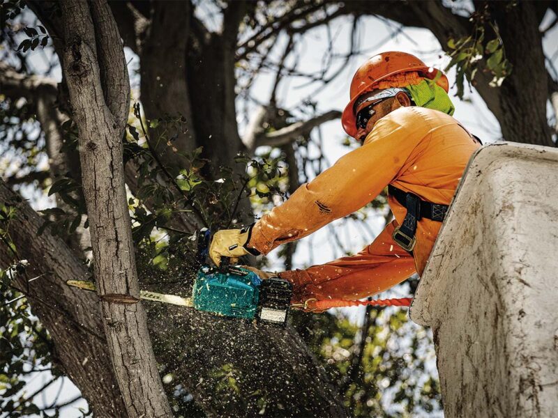 Makita XGT Top Handle Chainsaw